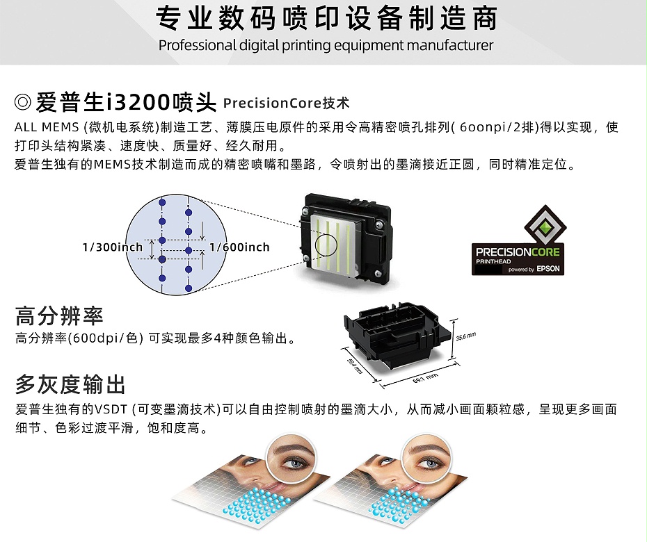 TY300Hot film printer_02