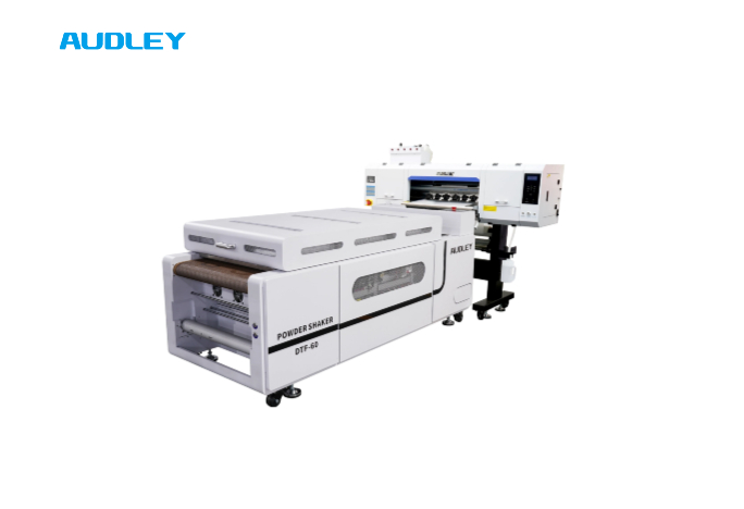 https://www.audley-printer.com/wp-content/uploads/2025/11/S8074-3-4-head-DTF-1.jpg